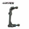 Hayes Disc Adapter IS Auf PM 180 HR
