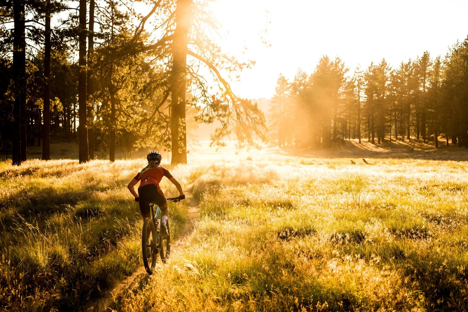 Angebote Kurbeln Store -Angebote Kurbeln Store 5